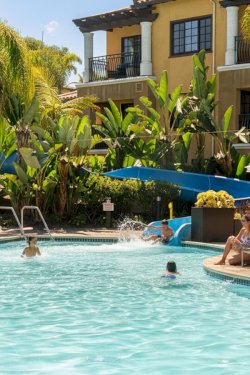 Poolside at a sunny resort with palm trees, people swimming, lounge chairs, and a yellow building in the background.