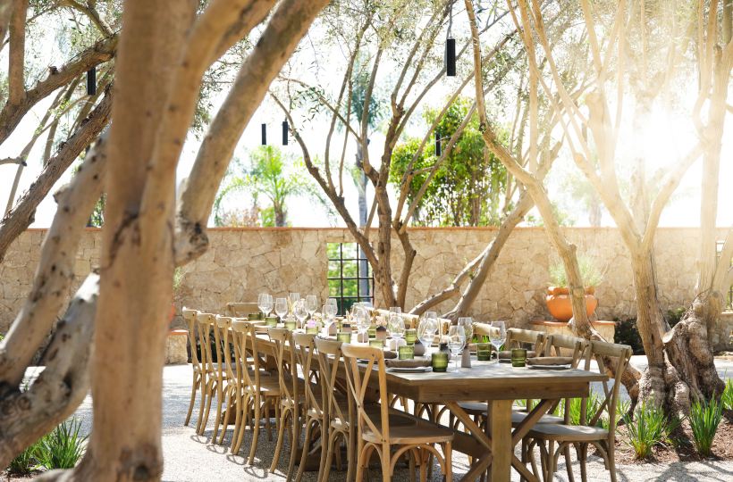 An outdoor patio dining setup with wooden chairs, glasses, and candles under sunlit trees.